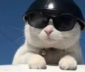 女子被风景“闪瞎”双眼，小长假出游，这类人尤其要小心