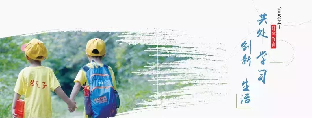 青少年夏令营最新消息报道,2019年青少年夏令营