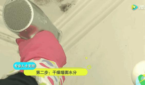 家里墙壁发霉怎么根除,发霉的墙壁怎么去除霉斑