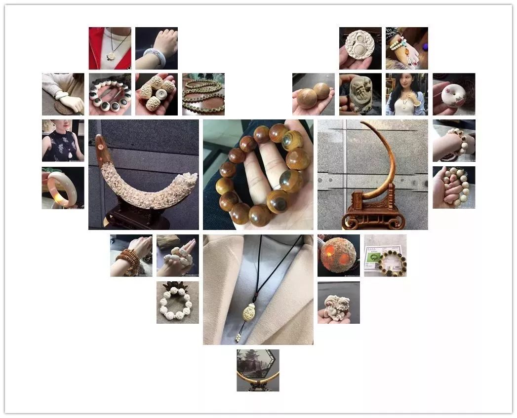 猛犸象牙收藏合法 (象牙与猛犸象牙收藏)