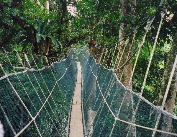 亚庇攻略三天两晚,亚庇选岛攻略