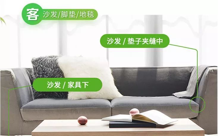 不用洗床单晒被子怎么除螨虫,螨虫去除妙招不用花露水