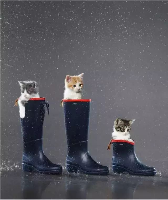 今天立夏，我却在买雨伞、雨靴和雨衣？！为了美也是拼了……