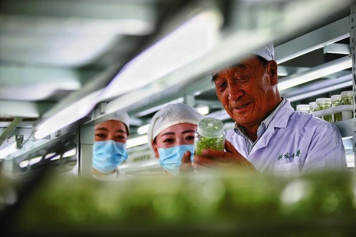 行走在大漠戈壁,行走在新疆的胡杨