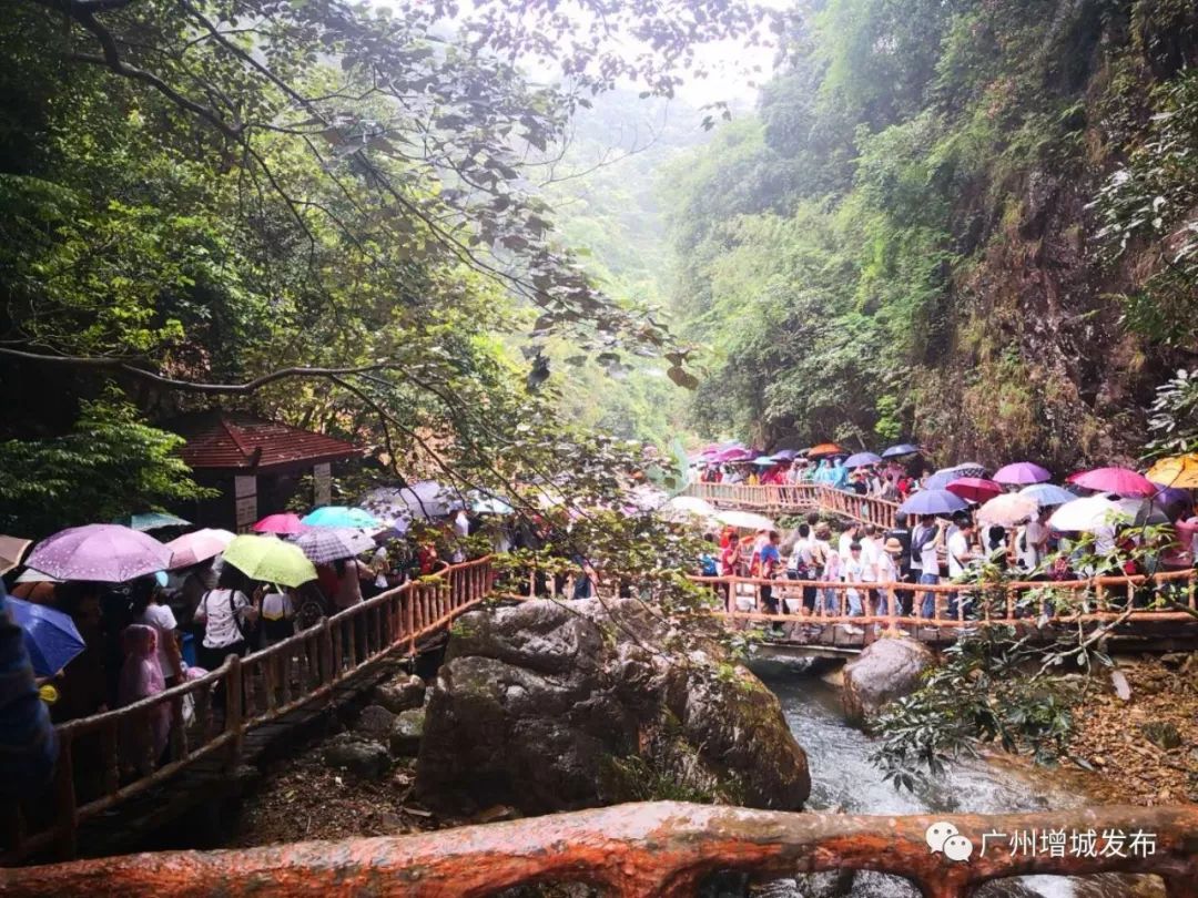 增城最火爆网红景点,增城客流量