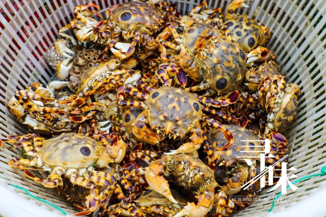 寻味海鲜大闸蟹,寻味小龙虾大闸蟹