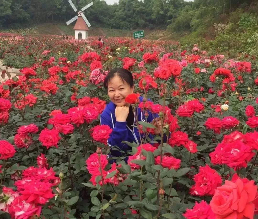 中国大妈旅游拍照标准动作视频,中国大妈拍照十大姿势