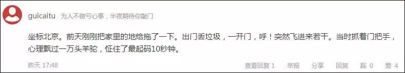 最近过半中国人都在噗噗噗呸呸，一开门，心里飘过一万头羊驼…