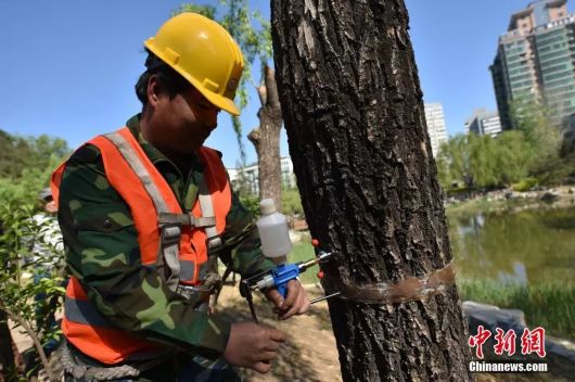 最近过半中国人都在噗噗噗呸呸，一开门，心里飘过一万头羊驼…