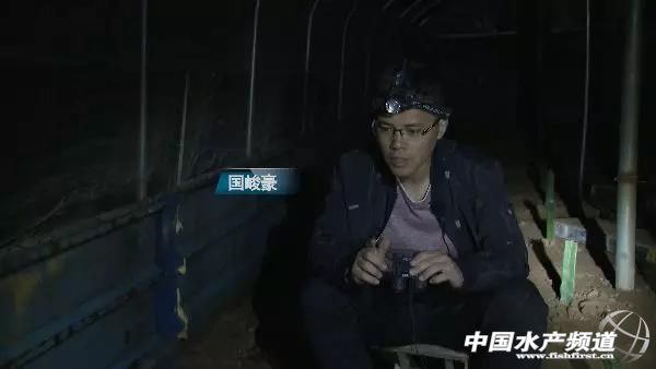 养林蛙的十大忠告,林蛙养殖前景南方养林蛙