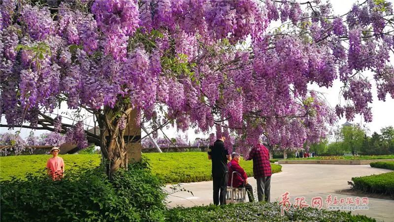 闈掑矝缁濈編鐎戝竷,闈掑矝绱壊鐎戝竷