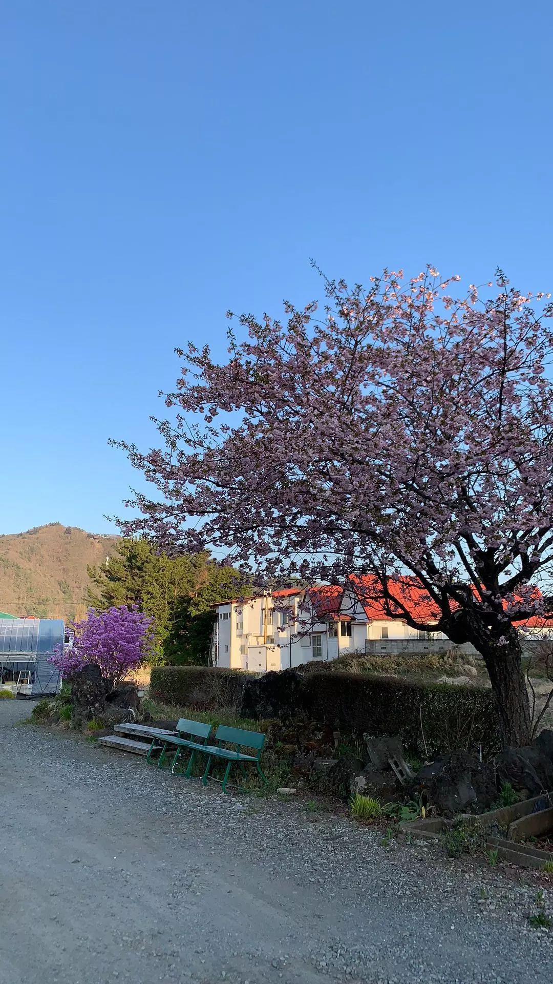 2019环富士山超级越野赛,环富士山越野赛2023冠军