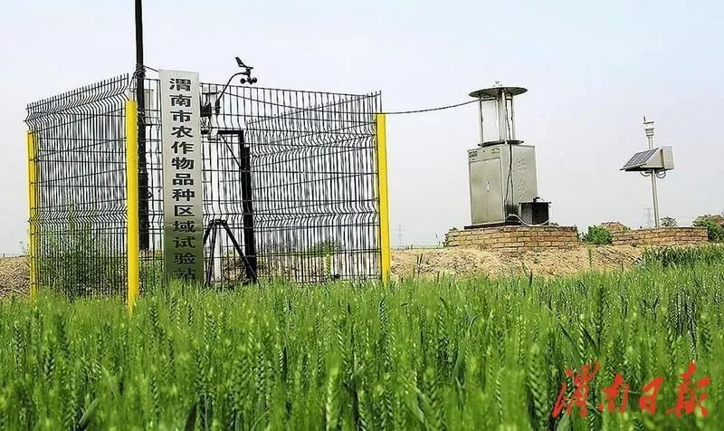 甘肃全力推动现代种业转型,聚焦优势特色产业现代种业发展