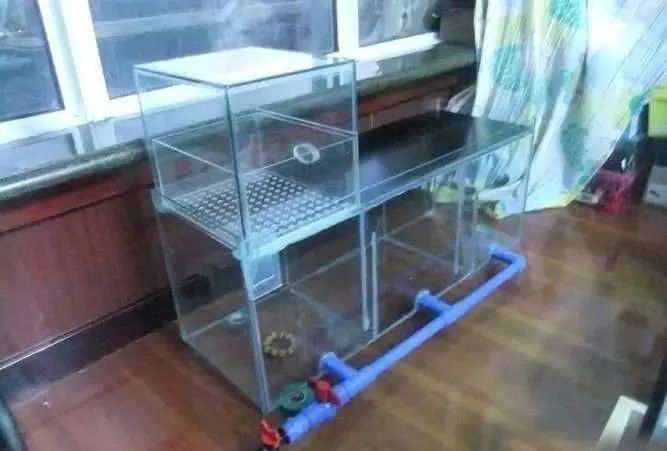 1.5米生态缸的用料及造景,1.2米的缸适合做什么缸