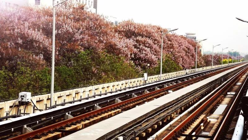 开发区的美,开发区最美风景