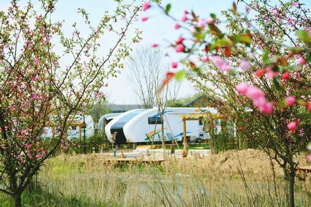 中国露营看星空最美的地方,国内最美星空露营地