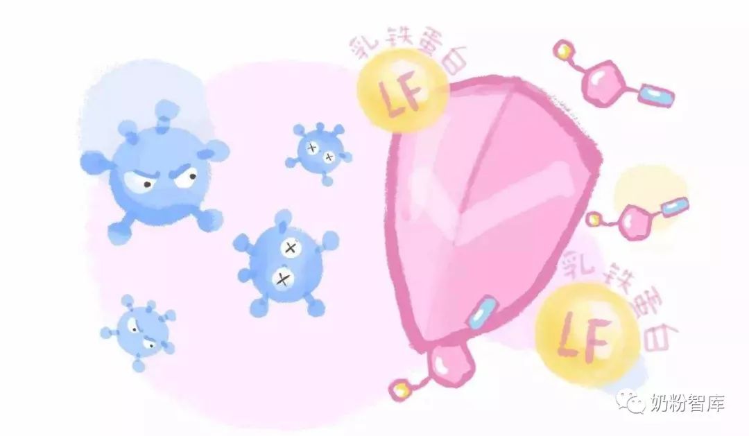 婴儿补充乳铁蛋白有什么好处,补充乳铁蛋白可以预防新冠病毒吗