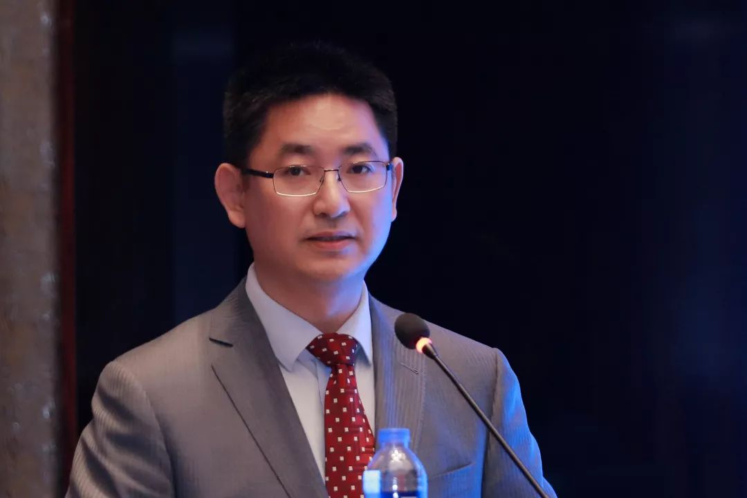 金融监管研究院,深圳金融研究所