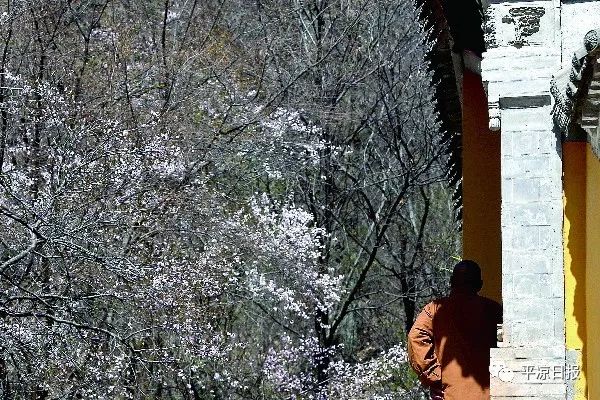 崆峒山最美视频,崆峒山有名的景点有哪些