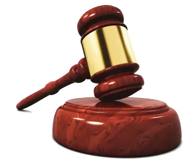 90后养鸡被判刑,养鸡专业户被判刑