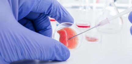 汇总：细胞治疗领域重大研究进展（2010—2019年）