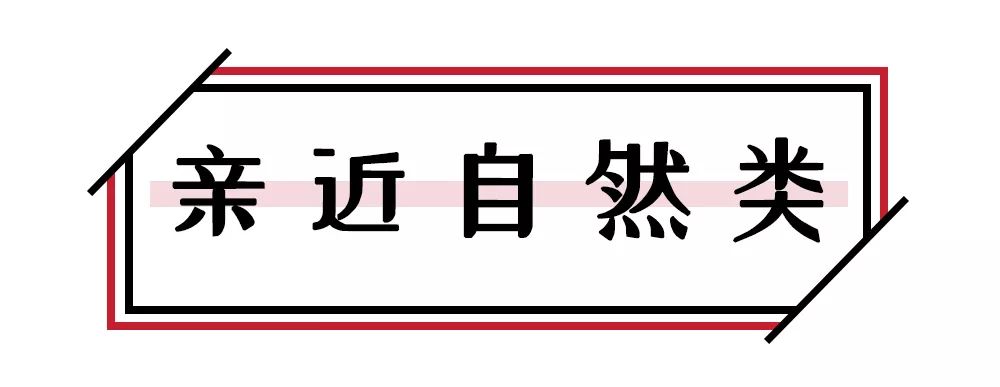 魔都浪漫餐厅推荐,魔都约会推荐
