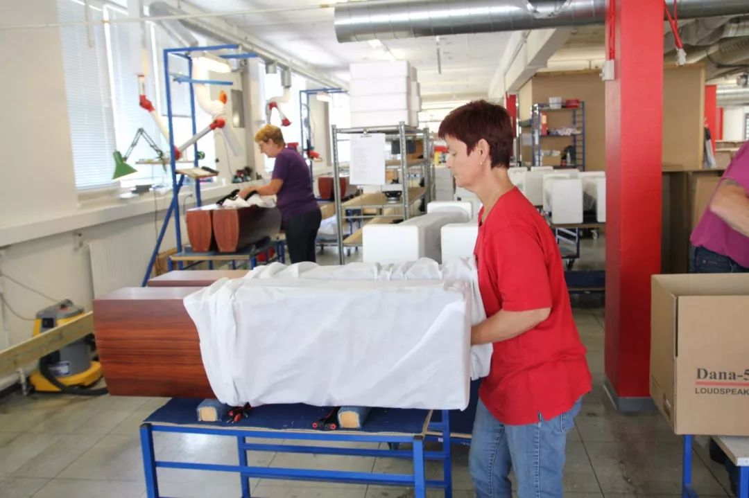 丹麦avance皇冠环绕音箱,丹麦avance皇冠220i音箱