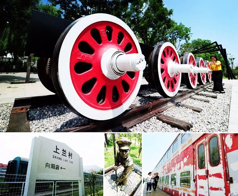 太原银杏林网红打卡地,太原网红打卡地景点