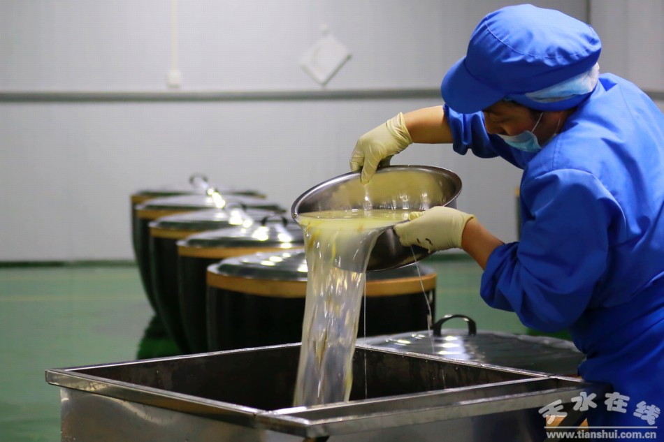 甘肃武山苦苣酸菜浆水出售,武山酸菜销售