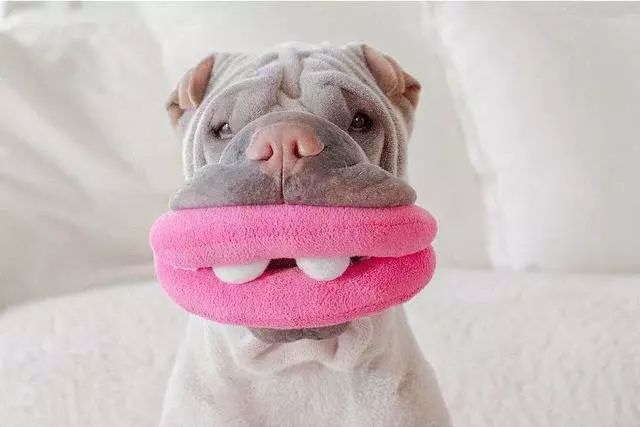 把我设置成不可见了是什么心态,为什么有人把朋友圈设成三天可见