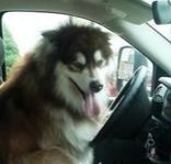 把我设置成不可见了是什么心态,为什么有人把朋友圈设成三天可见