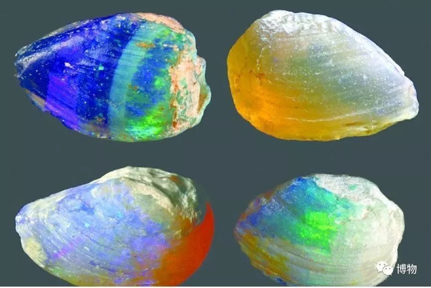 脑子进水了后悔不,脑子进水了掉井里