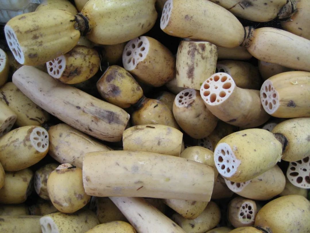 补脾清火莲藕水,莲藕水加什么可以养脾胃