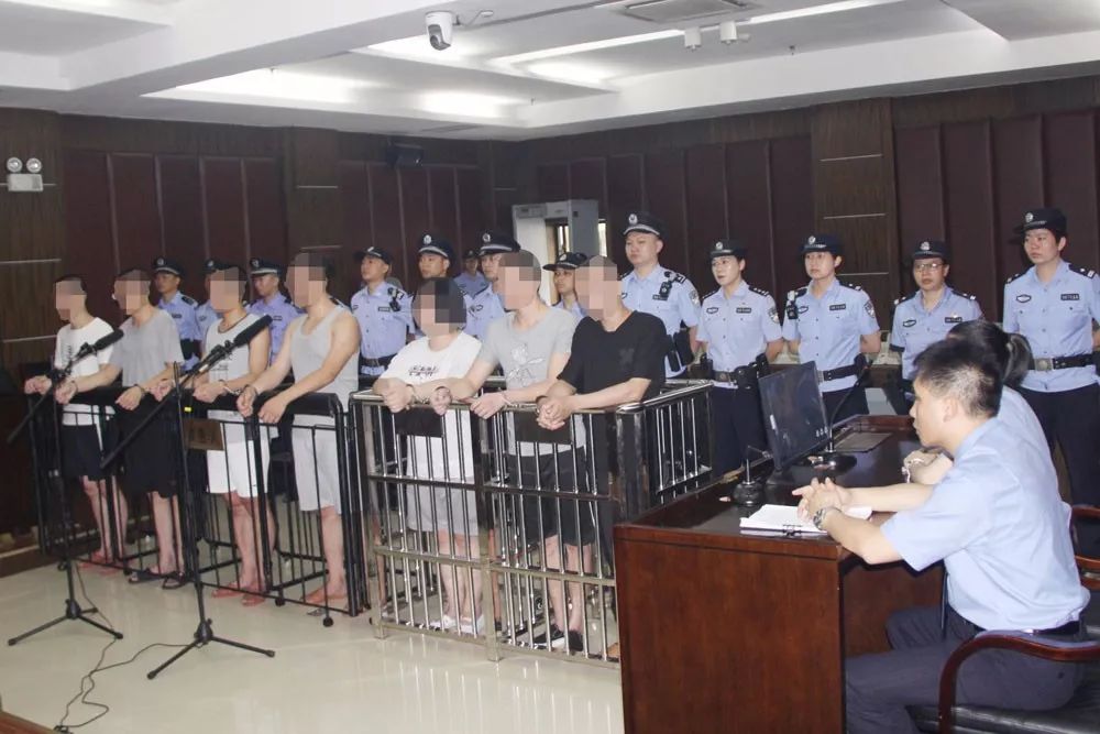 90后养鸡被判刑,养鸡专业户被判刑