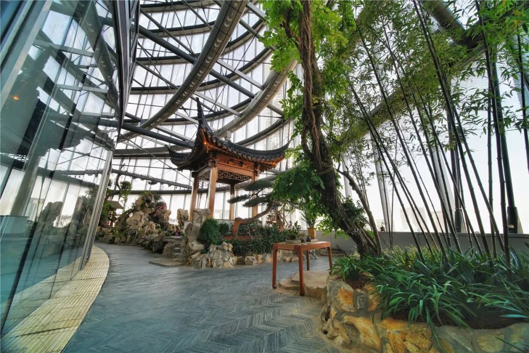 上海最高楼云端上的风景,在上海最高的楼俯瞰风景