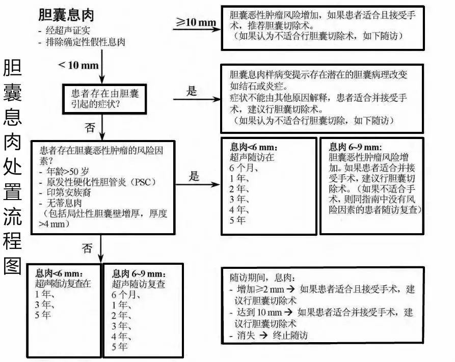 胆囊息肉医生说没关系,张雪亮医生治疗胆囊息肉效果怎样