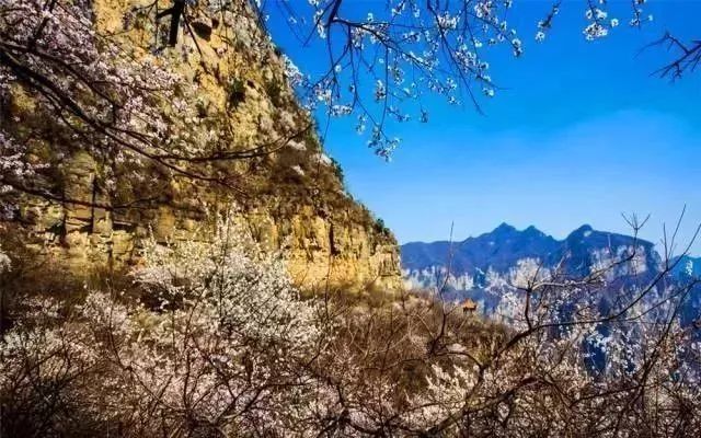 本周末，主播秋雨、大雄带你畅游王屋山、五龙口，只剩10个自驾名额，欲报从速！