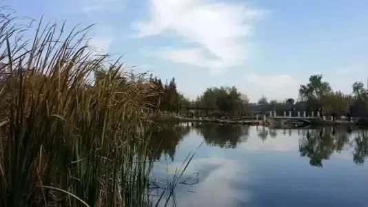 玩转大连森林公园,逛遍大连森林公园