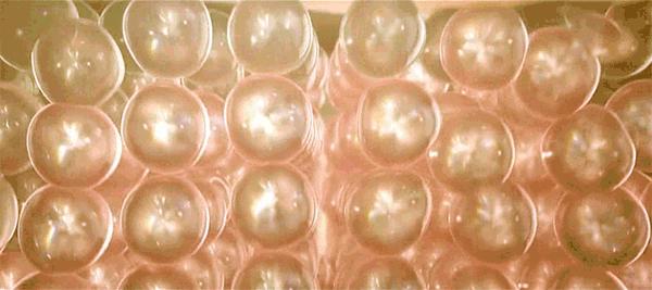 她是日本男性最想出轨女人,年近40还被身价200亿富豪狂追？