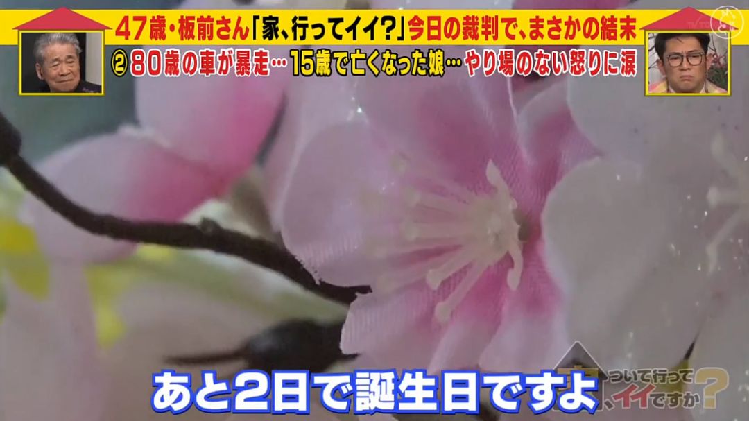 女子被车碾死凶手是丈夫,父亲生日当天被儿子撞死