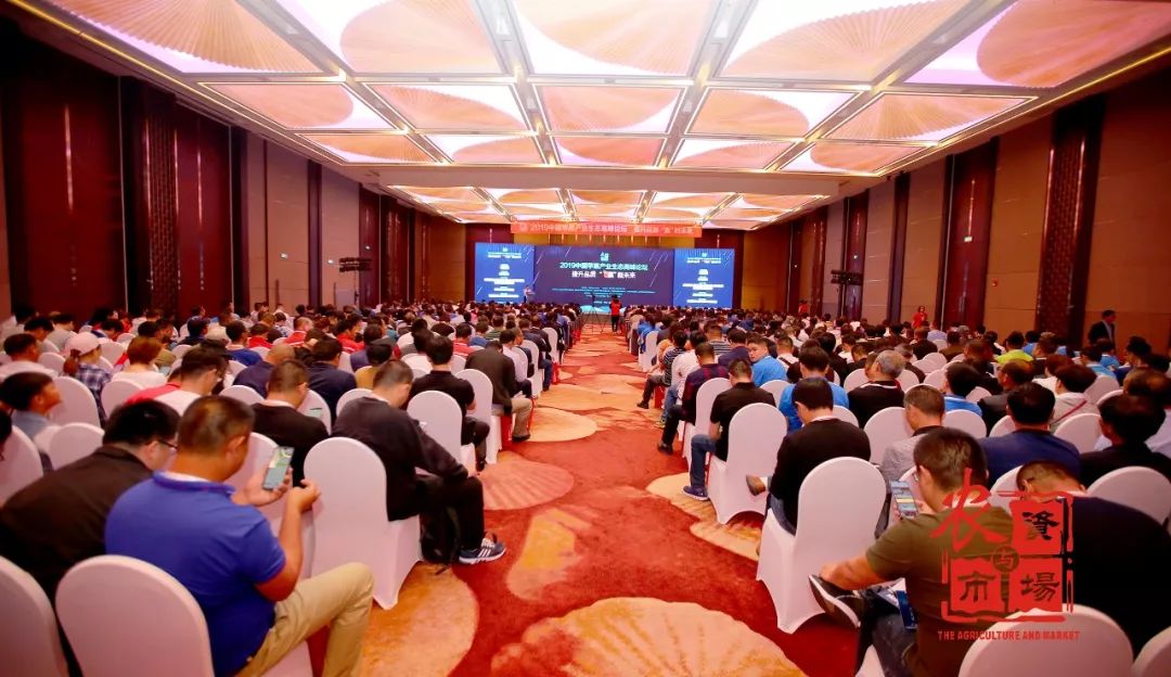 苹果迎来大变革,苹果产业高峰论坛