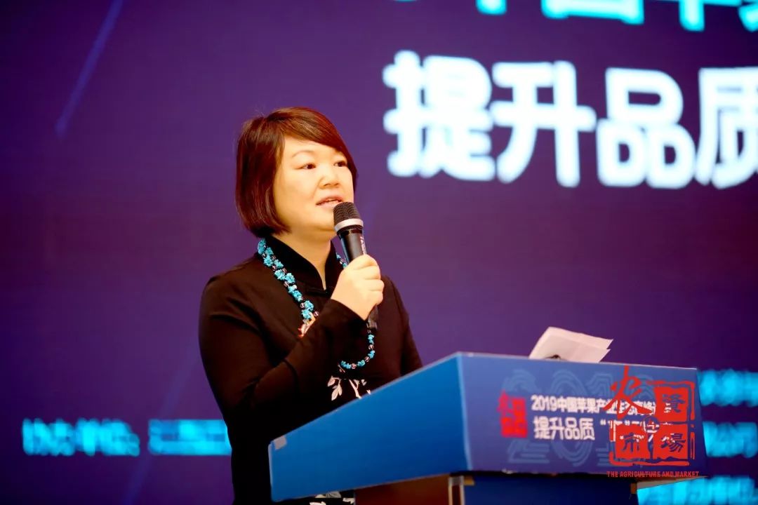 苹果迎来大变革,苹果产业高峰论坛