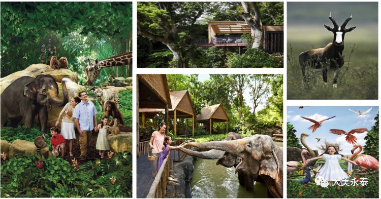 福州长隆野生动物园,福州永鸿野生动物园在哪里