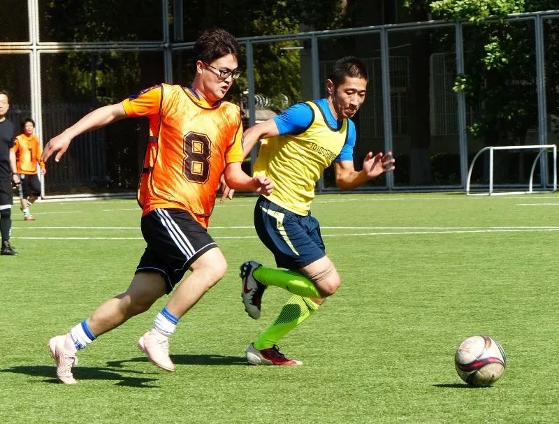 北京101中著名校友,北京101中校友