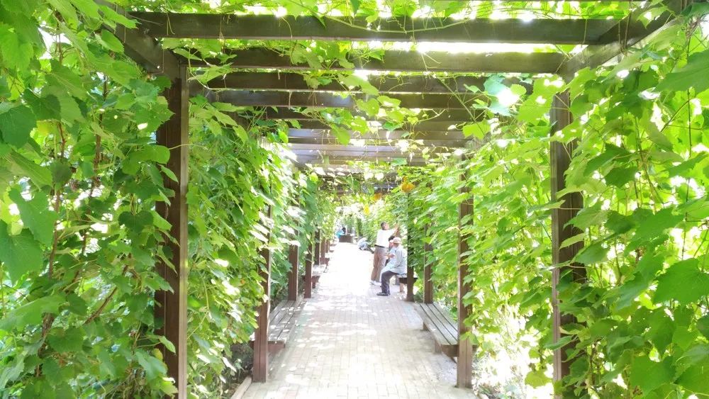 富养家里老人,富养老人