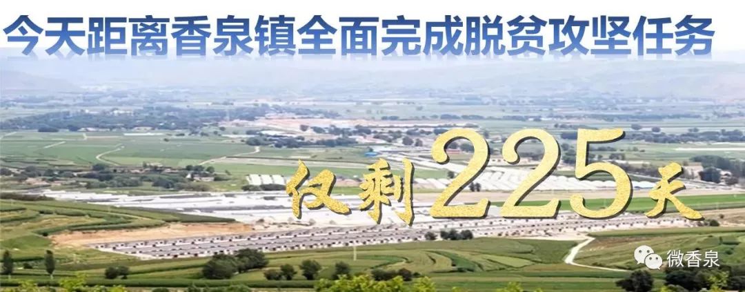 精准发力产业扶贫助力脱贫攻坚,新闻媒体宣传监督助力乡村振兴