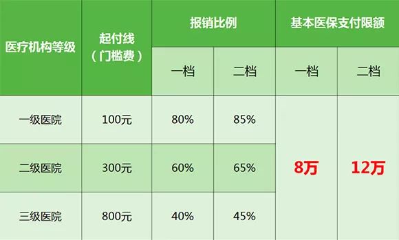 重庆居民医保如何办理特病,重庆居民医保2022年两档报销标准