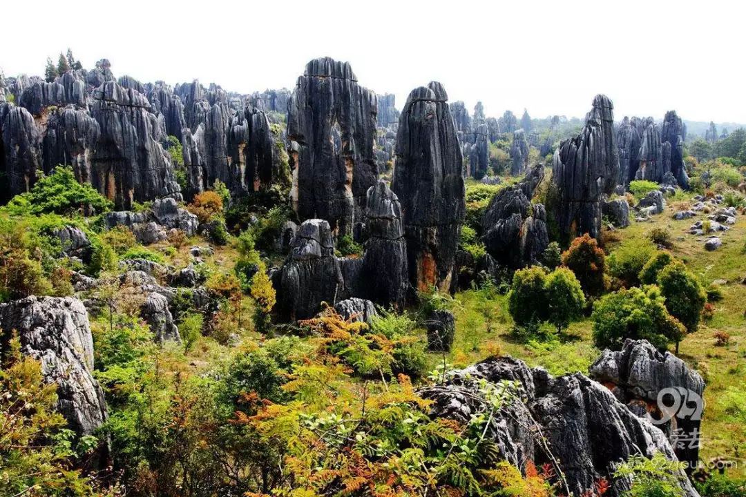 2022上饶直飞航班时刻表,上饶坐飞机直飞哪里旅游