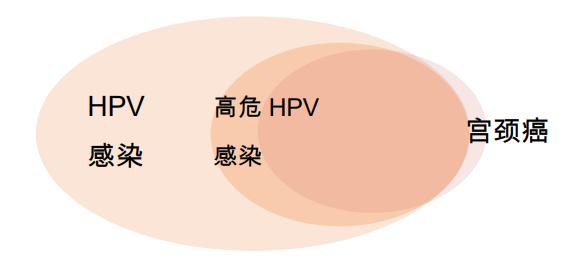 HPV病毒“认罪书”：宫颈癌头号元凶，80%以上女性一生中会被感染