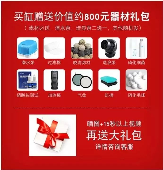 鱼缸生产制造过程,探秘jellycat工厂